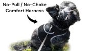 Mini Waterproof GPS Collar for Dogs Wireless Realtime Tracking Device Size:S