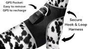 NEW Collar Mini Surveillance Water Resistant Mini GPS GSM Pet Tracker Size:S