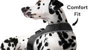 Mini Dog Location Finder w/ Easy Download Mobile Pet Tracker Free App Size:S