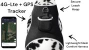 Mini Wearable Cat Tracker GPS Waterproof Rechargeable GSM Pet Locator Size:S