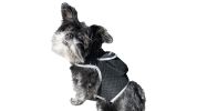 Mini Pet Tracker with Android iPhone Compatible Cat Dog GPS App System Size:S