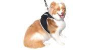 Mini Waterproof GPS Collar for Dogs Wireless Realtime Tracking Device Size:S