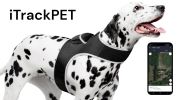 Mini Pet Tracker with Android iPhone Compatible Cat Dog GPS App System Size:S
