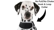 NEW GPRS GSM Small Pet GPS Tracker Waterproof Security for Cat & Dog Size:S