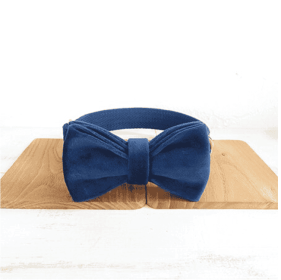 Bow pet collar large and small pet traction collar dog chain (Option: Bow Tie plus Collar-XL)